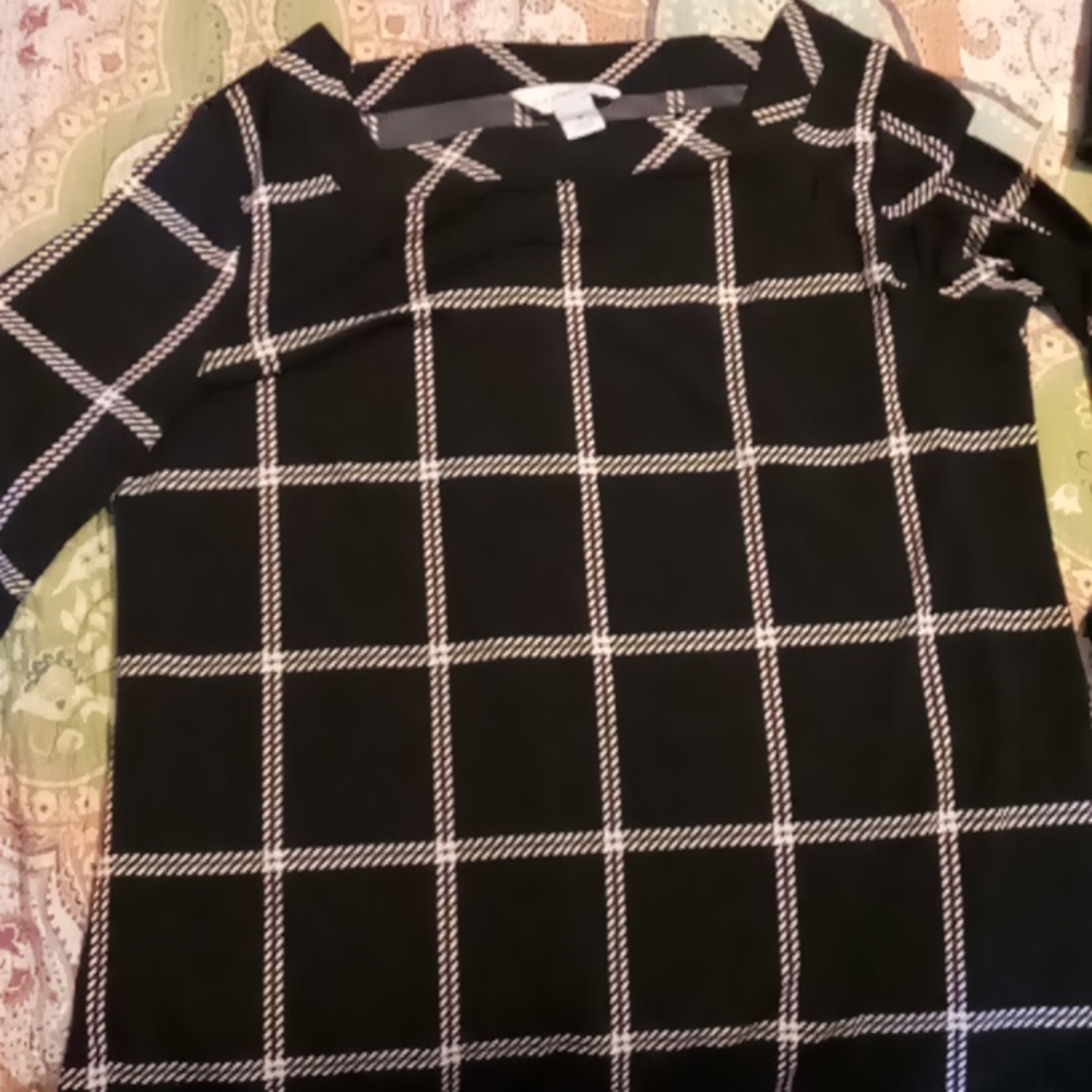 Lady's Blouse